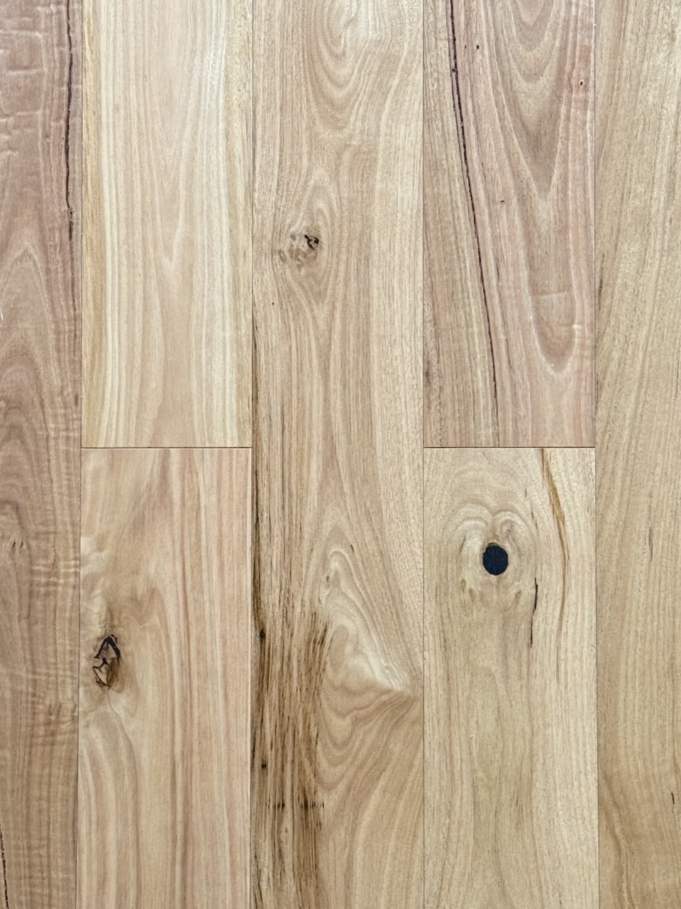 Blackbutt engineered timber flooring plank, close grain and warm honey tone