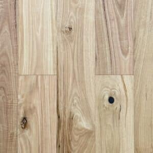 Australian Blackbutt engineered timber flooring, warm golden-honey tone, matte natural lacquer, wide plank