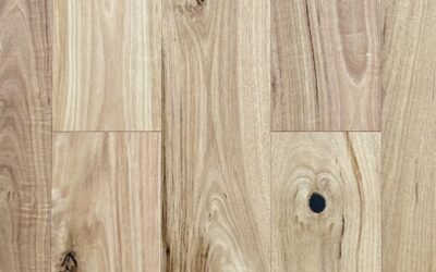 Blackbutt Flooring: Origins, How Engineered Blackbutt Is Made, and Why It Suits NZ Homes